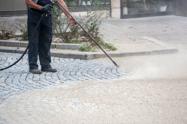 Best Dumpster Area Cleaning  in Weedsport, NY